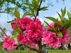 -元大都城垣遗址公园