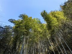 -山沟沟景区
