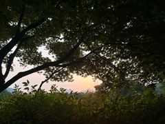 -茅家埠