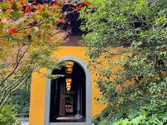 -慧因高丽寺