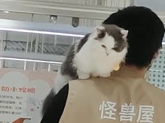 -怪兽屋·羊驼·猫咖·狗咖(俊华广场店)