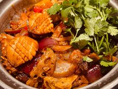 -禄婶鸡煲·打边炉