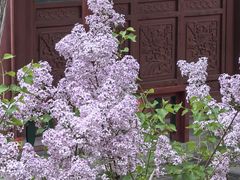 -莲池书院博物馆