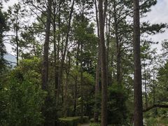 -福清灵石山国家森林公园