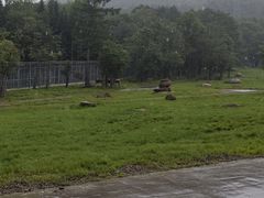 -横道河子东北虎林园