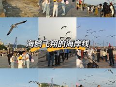 -星海广场