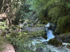 -神农架香溪源景区