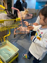 -Moni星球萌宠·小马宝莉·灵蛇·高端高阶全萌宠互动体验俱乐部(红豆国际广场店)