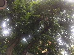 -百林公园-两江幸福广场
