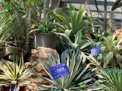 -国家植物园南园