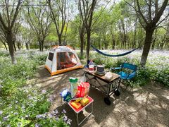 -天津武清北运河郊野公园房车露营地