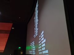 -龙之星国际影城(太平店)