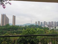 -重庆长寿碧桂园凤悦凤凰酒店