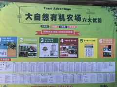 -大自然农场蔬菜草莓采摘园