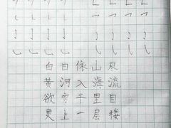 -赵汝飞练字硬笔书法(航头校区)
