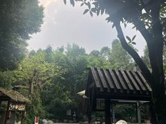 -青城道汤池