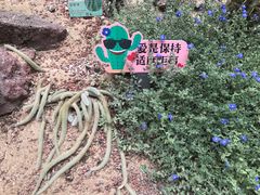 -正佳雨林生态植物园