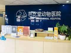 -芭比堂宠物医院·全科爱猫医院·仁德分院