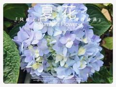 -聚·咖啡(南国奥园店)