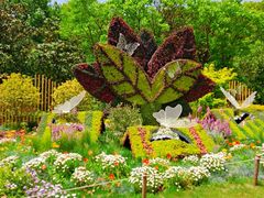 -上海共青森林公园