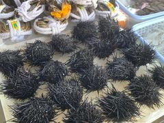 -南沙十九涌渔人码头-南门