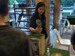 -清迈夜间动物园