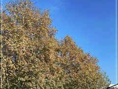 -北山街历史文化街区