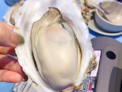 -千岛蚝高压锅生蚝·人参火锅(白云万达店)