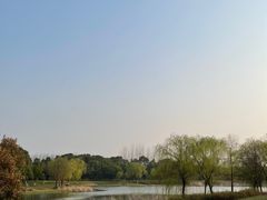-贡湖湾湿地公园