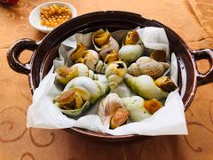 海螺-天然居(伦教店)