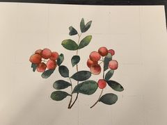 -六出私塾LiuChu•成人美术书法系统课程专业画室(熊婆婆的花园店)
