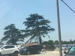 -召稼楼古镇·停车场
