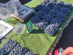 -三旗百汇商品城