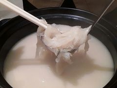 古法鸡煲翅-陶陶居海鲜酒家(新马路店)