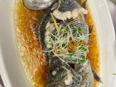 -骏莱海鲜鱼港(五角场店)