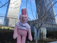 -中央广播电视总台(光华路办公区)