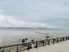 -深圳湾公园(南山区)