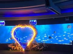 -合肥海洋世界