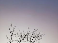 -春花秋色城市公园