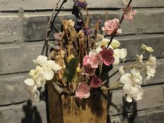 -滇越乘象云南餐厅(豆各庄店)