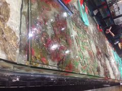 iphone_upload_pic-渔傅·蓝海岸霞浦海鲜(正祥店)