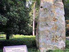 -灵谷景区