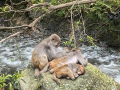 -姑婆山旅游区