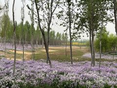 -东郊湿地公园