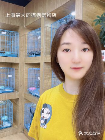 上海最大的猫狗宠物店！爱猫狗人士的天堂️