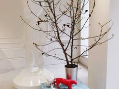 -潮一不贰·法式甜品·生日蛋糕·西式简餐(外滩店)