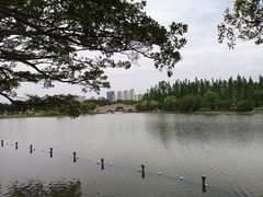 -江心屿景区