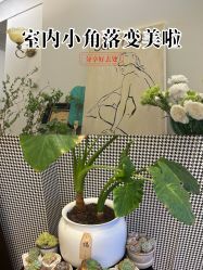 -Fancy梵汐·轻奢量肤定制