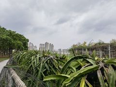-凤岭儿童公园