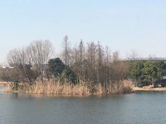 -新江湾城公园